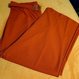 Dress Barn 18/20 Burnt Orange Pants